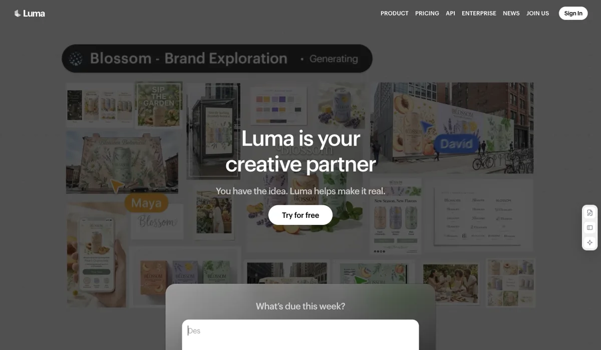 Luma website preview