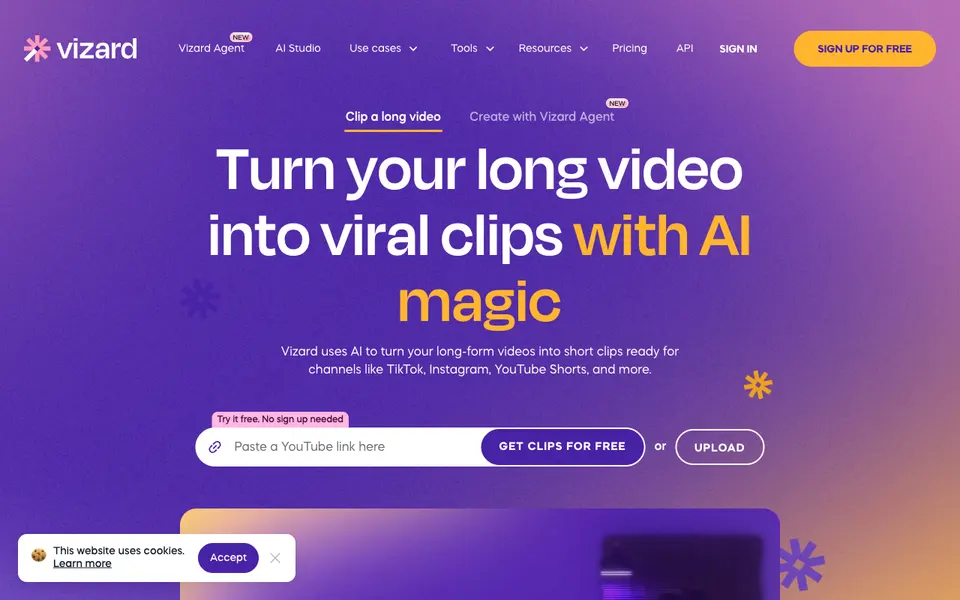 Vizard website preview